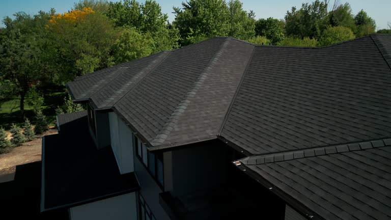 Best Roof Coating and Sealing  in Merrillville, IN