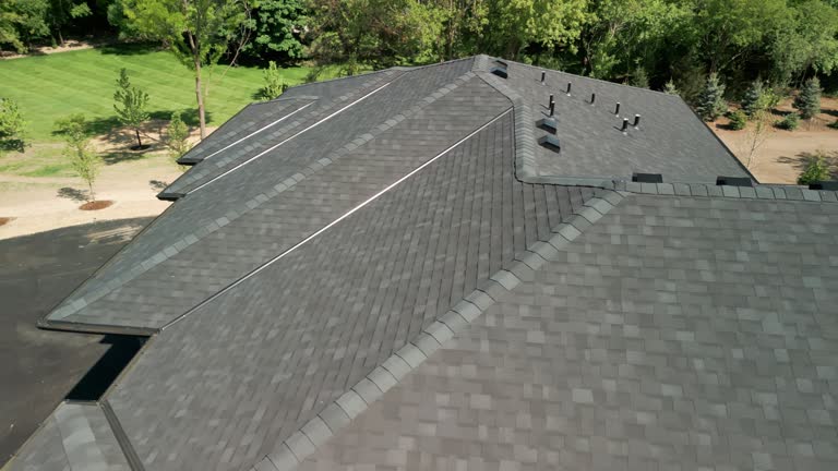 Best Sheet Metal Roofing  in Merrillville, IN