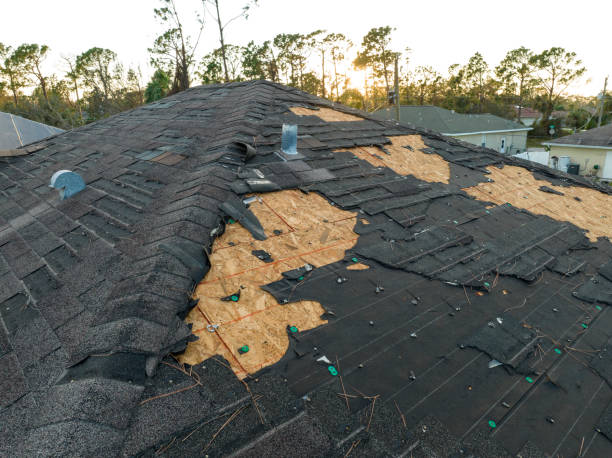 Best Roof Ventilation Installation  in Merrillville, IN